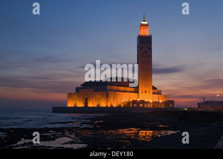 The floodlit Hassan II Mosque at the coast of the Atlantic Ocean at the blue hour in the morning, Casablanca, Morocco, Africa