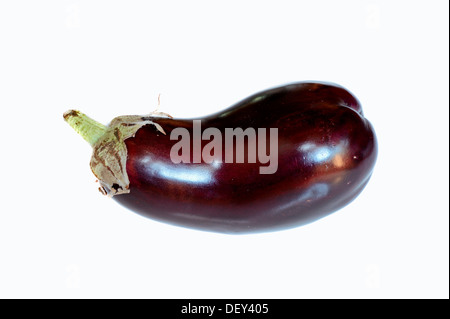 Aubergine or Eggplant (Solanum melongena) Stock Photo
