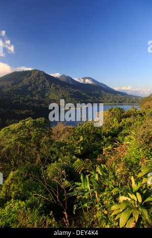 Indonesia, Bali, Central Mountains, Munduk, Danau Tablingan Lake Stock Photo