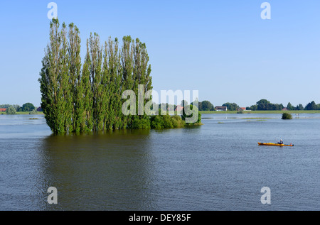 Elbe flood in 2013 in old narrow nurse, 4 and marshy land, Hamburg, Germany, Europe, Elbe-Flut 2013 in Altengamme, Vier- und Mar Stock Photo