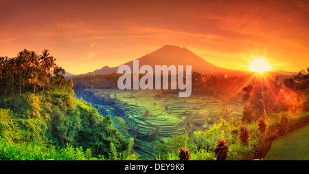 Indonesia, Bali, Redang, View of Rice Terraces and Gunung Agung Volcano Stock Photo