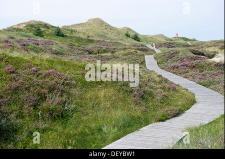 Path through the dunes and lighthouse at Norddorf, Amrum, North Frisia, Schleswig-Holstein Stock Photo