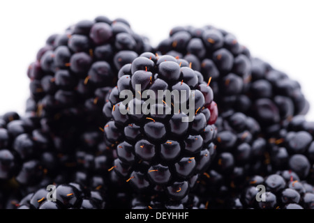 Fruits and vegetables: group of fresh blackberries, close-up shot Stock Photo