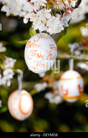 Easter eggs and cherry blossoms Stock Photo