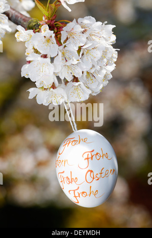 Easter egg and cherry blossoms Stock Photo