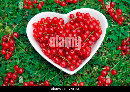 Red Currants (Ribes rubrum) in a heart-shaped porcelain bowl Stock Photo