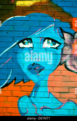 Woman with flower in her hair, graffiti Stock Photo