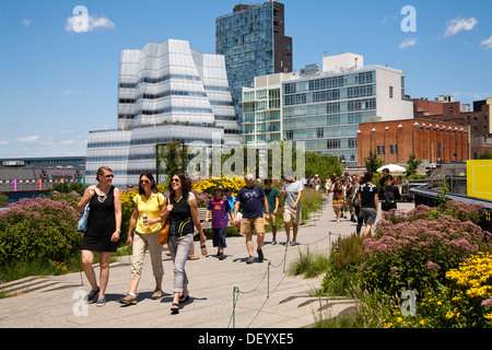 High Line Park with the IAC Building by Frank Gehry at back, near 18th Street, Lower West Side, Chelsea, Manhattan Stock Photo