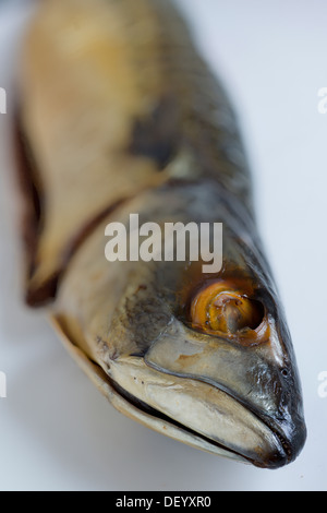 Smoked mackerel Stock Photo