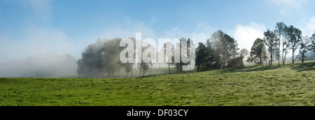 Autumnal morning mist, Hub, Bad Heilbrunn Loisachtal, Toelzer Land, Upper Bavaria, Bavaria Stock Photo