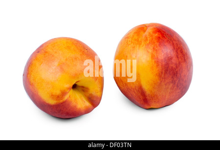 Two ripe nectarines showing different orientations of the top and the bottom stem attachment on a white background Stock Photo
