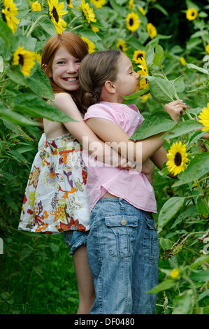 Girls in a sunflower field Stock Photo