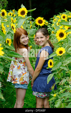 Girls in a sunflower field Stock Photo