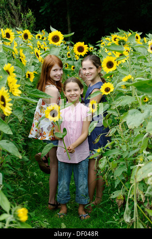 Girls in a sunflower field Stock Photo