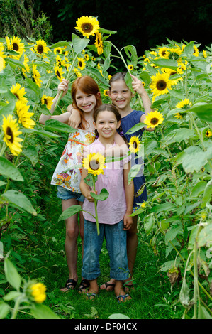 Girls in a sunflower field Stock Photo