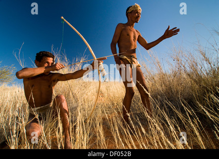 Bushmen of the San people hunting, Kalahari or Kgalagadi Transfrontier ...