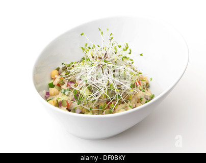 Gourmet vegan meal topped with sprouts isolated on a white background.