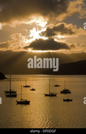 Sun beams over Akaroa Harbour and backlit boats in early morning light, Banks Peninsula, Canterbury region, South Island Stock Photo