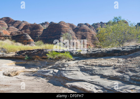 Purnululu National Park, Bungle Bungles, Purnululu Nationalpark, Kimberley Plateau, Western Australia, Australia Stock Photo