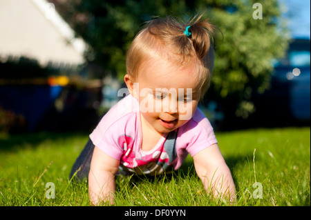 Toddler crawling on the grass in the garden, UK Stock Photo - Alamy