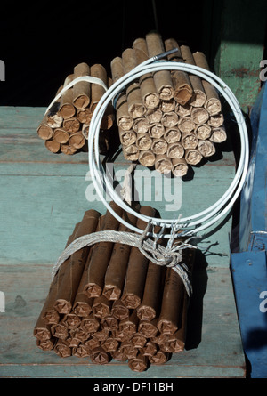 Sticks of dynamite on sale in street market, Potosi, Bolivia. Stock Photo