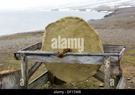 Old grindstone wheel in front of a deserted trapper's hut, Kapp Toscana, Bellsund, Spitsbergen, Svalbard Archipelago, Norway Stock Photo