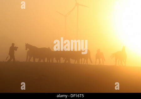 Görlsdorf, Germany, silhouettes of people and horses at sunrise Stock Photo
