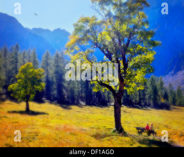 AT - TYROL: Alpine Karwendel Landscape in Gerntal near Pertisau Stock Photo