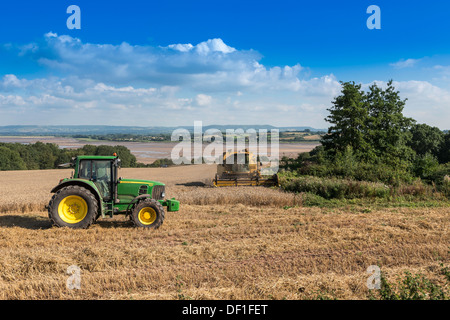 COMBINE HARVESTER AND TRACTOR IN WHEAT FIELD NR RIVER SEVERN GLOUCESTERSHIRE ENGLAND UK Stock Photo