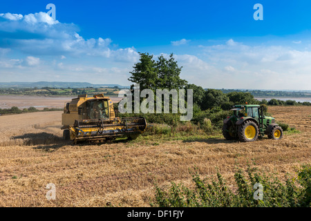 COMBINE HARVESTER AND TRACTOR IN WHEAT FIELD NR RIVER SEVERN GLOUCESTERSHIRE ENGLAND UK Stock Photo