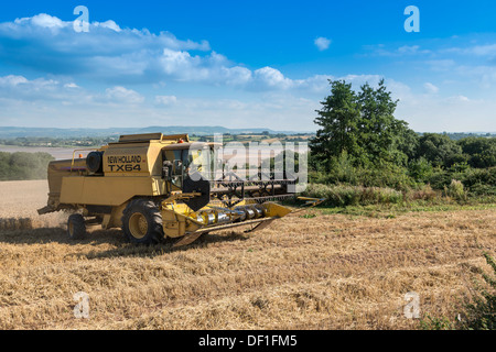 COMBINE HARVESTER IN WHEAT FIELD BY THE RIVER SEVERN IN LATE SUMMER Gloucestershire Engalnd UK Stock Photo