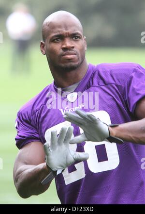 Watford, Hertfordshire, UK. 25th Sep, 2013. Running Back Adrian Peterson of the Minnesota Vikings - here for Sunday's NFL International Series Game 7 vs Pittsburgh Steelers at Wembley Stadium - during practice at the Grove Hotel, Watford, Hertfordshire, England - September 25th 2013 Photo by Keith Mayhew © KEITH MAYHEW/Alamy Live News Stock Photo