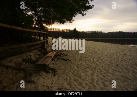 Beach near the 'Echo' ponds in the Roztocze National Park. Stock Photo