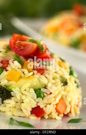 Vegetable risotto garnished with cherry tomato and shallot (Selective Focus, Focus on the lower part of the risotto) Stock Photo
