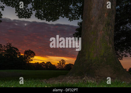 Northampton, UK. 27th Sep, 2013. As the Autumn sunrise begins to appear at Abington Park, Northampton, the sky over the town is filled with vivid colours. The UK has enjoyed unseasonably warm weather for September. Credit:  Keith J Smith./Alamy Live News