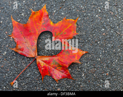 Fall in love photo metaphor. Red maple leaf with heart shaped hole lays on dark asphalt road Stock Photo