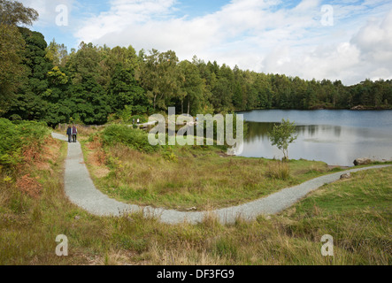 People tourists visitors walking around Tarn Hows in summer Cumbria Lake District National Park England UK United Kingdom GB Great Britain Stock Photo