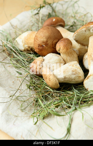 bunch of boletus mushroom in the hay, food Stock Photo