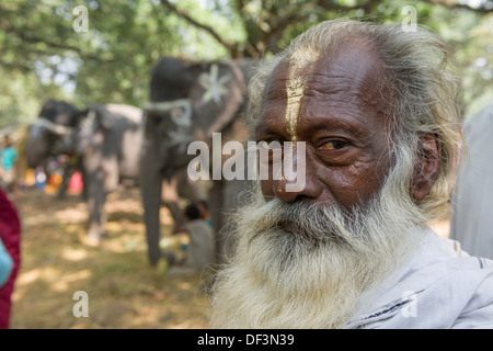 Elderly male pilgrim with white beard, with elephants in the Haathi Bazaar behind, Sonepur Mela, Sonepur, Bihar, India Stock Photo