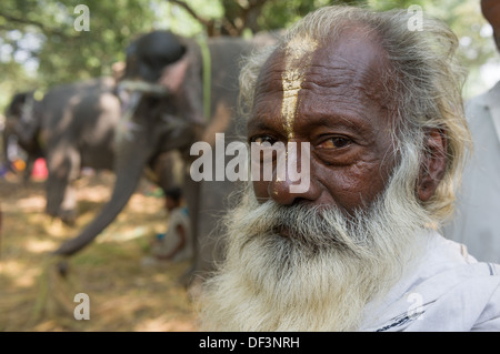 Elderly male pilgrim with white beard, with elephants in the Haathi Bazaar behind, Sonepur Mela, Sonepur, Bihar, India Stock Photo