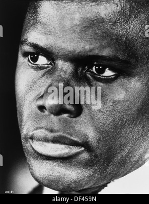 Sidney Poitier, Portrait, on-set of the Film, 'In the Heat of the Night', by The Mirisch Corporation with Distribution via United Artists, 1967 Stock Photo