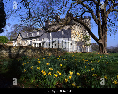 Castell Deudraeth Restaurant with daffodils in foreground Portmeirion Near Porthmadog Llŷn Peninsula Gwynedd North Wales UK Stock Photo