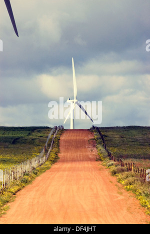 Unusual view of wind turbine, seen at end of a red dirt road. Instagram effect. Stock Photo
