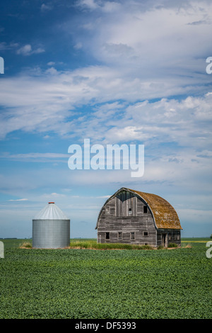 An old barn and a farm grain bin on a prairie field near Langdon, North Dakota, USA. Stock Photo