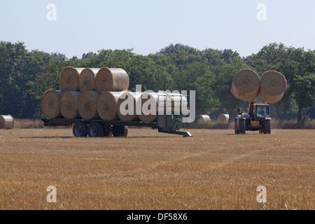 Harvest. After combine harvester has cut and threshed out grain, a secondary loader vehicle collects baled straw for removal. Stock Photo