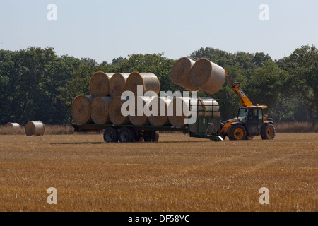 Harvest. After combine harvester has cut and threshed out grain, a secondary loader vehicle collects baled straw for removal. Stock Photo