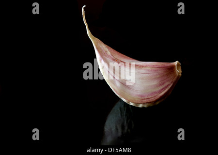 Garlic clove isolated on black Stock Photo