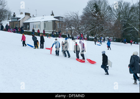 Lot of people (adults &children) having family fun in winter snow, sledging down hill in park - Riverside Gardens, Ilkley, Yorkshire, England, UK. Stock Photo