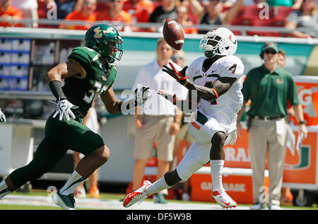 Tampa, Florida, USA. 28th Sep, 2013. Miami Hurricanes wide receiver PHILLIP DORSETT (4) catches a pass over South Florida defensive back NATE GODWIN (36) for a first down during the first quarter of the game at Raymond James Stadium. Credit:  Octavio Jones/Tampa Bay Times/ZUMAPRESS.com/Alamy Live News Stock Photo