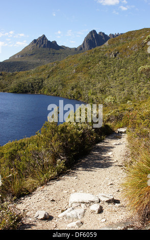 Footpath on Cradle Mountain Lake St. Clair National Park, Tasmania, Australia Stock Photo